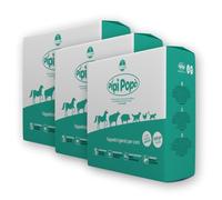 Centrovete - PipiPopo Tappetini Igienici Assorbenti Monouso - Per Cani e Gatti - Traversine con Design a 5 Strati - Angoli Adesivi e Neutralizzazione degli Odori - 3 Confezioni da 100 Pezzi - 60x60cm