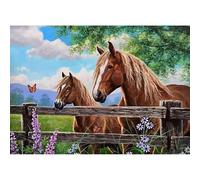 CEOVR Cavalli Diamond Painting Kit Completo,Fattoria Pittura Diamante,Diamond Painting Adulti Adulto,30x40 cm ittura Diamante 5D,Kit per Pittura Diamante Mosaico 5D Animali