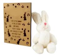 Ceprznvey Interactive Bunny Party Favors Candy Card, Easter Bunny Plush, Funny Easter Postcards for Family, Friends, Teenagers and Girls, Birthday, Valentine's Day, 1,97 x 2,36 Inches