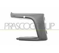 Cer insieme Striscia Protezione Paraurti PRASCO per Ford Focus IV)
