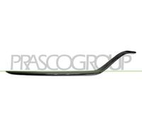 Cer Listello di Protezione Griglia Radiatore PRASCO per Mercedes Classe C (W205