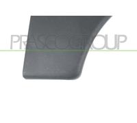 Cer Listello di Protezione Parafango PRASCO per Citroën \ Tberlingo