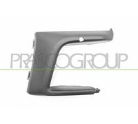Cer Listello di Protezione Paraurti PRASCO per Ford Focus IV)