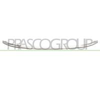 Cer Listello di Protezione Paraurti PRASCO per Mercedes Classe E (W212