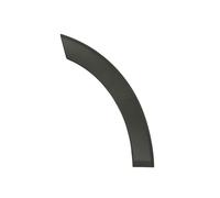 Cer Listello di Protezione Porta Anteriore Sinistra per: Ford Transit VI