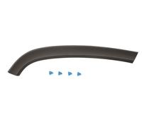 Cer Listello di Protezione Portiera Posteriore Destra per : Jeep Gran Cherokee