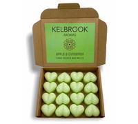 Cera da sciogliere, mela e cannella, confezione da 16, forte profumazione, prodotte nel Regno Unito, senza plastica, vegane