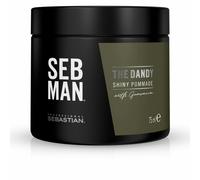 Sebastian Professional Seb Man The Dandy Pomade 75 ml