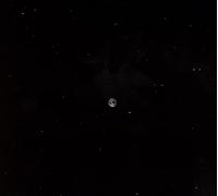 Ceramic Dog (Ribot Marc) - Hope