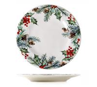 Ceramica Piatti Da Pranzo Natale Smalto Piatto Rotondo Casa Dessert Decorativo Tazze Di Caffè Snack Colazione Ciotole Nido D'Uccello Insalata Frutta Gelato Insalate Zuppe Pasta