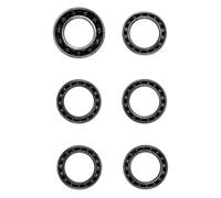 Ceramicspeed Vision-1 Bearings Argento