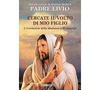 Cercate il volto di mio figlio. L'esortazione della Madonna a Medjugorje