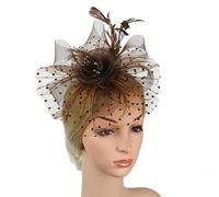 Cerchietto for capelli con rete e piume, fermaglio for capelli con fiori in rete, accessori for capelli da cocktail for matrimonio, fascia for il tè(Brown)