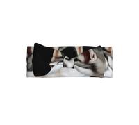 Cerchietto per capelli con stampa di cane husky, regalo per neonati, perfetto per neonati, ragazze, accessorio per capelli dolce principessa