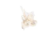 Cerchietto per capelli da donna, per ricevimenti, matrimoni, cocktail, fiori, piume, fermagli per capelli