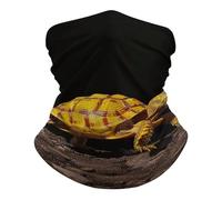 Cerchietto per Capelli Turtle Ground Walking Sportiva Scaldacollo Antipolvere Sciarpa a Mezza Faccia per Sports Pesca 26X30cm