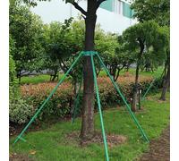 Cerchio di fissaggio per albero Cerchio per rack di supporto per albero