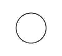 Cerchio newmen beskar 30 dh da 27 5 32 fori