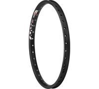 Cerchio Posteriore Sun Ringle Envy 24 36h Schrader Nero
