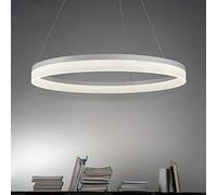 Cerchio Singolo LED Lampada A Sospensione 1 Luce Moderno Metallo Acrilico Lampadario Regolabile Sospesa Luce Pendente per Soggiorno Camera da Letto,White+WarmLight-80cm