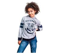 Cerdá Felpa, Grigio, Taglia Unica Unisex-Bambini