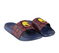 Cerdá - Harry Potter Summer Flip Flops with Official Licensed Warner Bros 6.5 UK