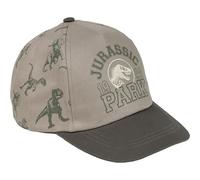 CERDÁ LIFE'S LITTLE MOMENTS Berretto con Visiera per Bambini Jurassic Park cap, Grey, Taglia Unica Unisex Kids