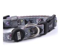 CERDÁ LIFE'S LITTLE MOMENTS - For Fan Pets DC PetsDog Collar Dogs - Official D