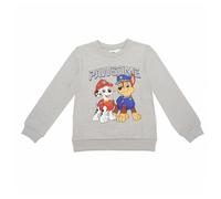 Cerda Paw Patrol Felpa Paw Patrol
