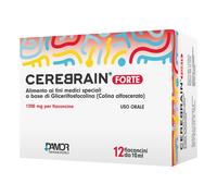 Cerebrain Forte Integratore Vitamina B12 E Colina 12 Flaconcini