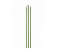 Cereria Di Giorgio - 12 Candele Stelo - Diametro 0.9 cm Altezza 37 cm - Colore Verde muschio - Durata 3 ore - Non profumate