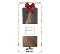 Cereria Di Giorgio - Candela Laccata a forma di Albero di Natale Stilizzato - Colore Mocha Mousse - Altezza 13 cm - Con Astuccio Decorato - Idea Regalo Artigianale - Christmas Collection
