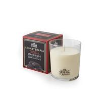 Cereria Di Giorgio Candela Profumata Cera Vegetale,durata fino a 44h- Made In Italy Aromaterapia - Tonka - Afrodisiaco