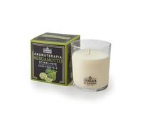 Cereria Di Giorgio - Candela Profumata in Bicchiere - Cera Vegetale di Palma e Soia - Collezione Aromaterapia - Bergamotto - Stimolante - Durata 44 ore