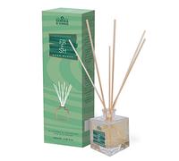 Cereria di Giorgio Diffusore di Profumo Odor Block-Profumazione Fresh: Muschio, Chiodi di Garofano, Ciclamino, Rosa-100 ml, Verde, Media