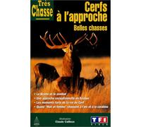 Cerf a l'approche