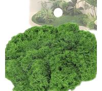 Cerkkapo 200 g di muschio artificiale per bricolage, muschio artificiale, decorazione verde, muschio artistico per presepi, muschio artificiale per il fai da te, per il fai da te, per il presepe,