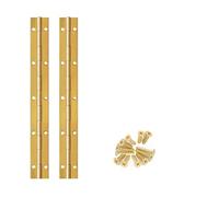 Cerniera a pianoforte continua, Cerniere for Piano Continuo Con Foro Multicolor Di Dimensioni Multiple Confezione Da 2(Gold 2pcs,8inch)