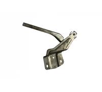 Cerniera cofano anteriore Dx 88231806602 DPA per VW JETTA IV