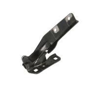 Cofano - Cerniere BLIC 6802-00-2042451P