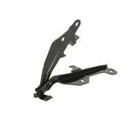 Cerniera cofano bilaterale 6802-00-2589452P BLIC per FORD USA MUSTANG Coupé