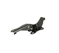 Cerniera, cofano BLIC 6802-00-8161451P sinistro