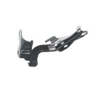 Cerniera, cofano BLIC 6802-00-8161452P