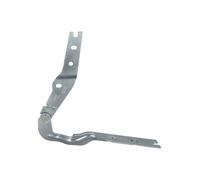 Cerniera, cofano BLIC 6802-00-9550451P sinistro