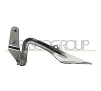 Cerniera Cofano Destra Per FORD FOCUS Dal 2005 Al 2007 LATO DESTRO 1595455