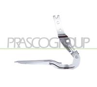 Cerniera, Cofano motore Dx per VW GOLF