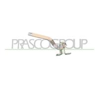 Cerniera Cofano Motore Prasco FT1223703 per Fiat