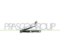 PRASCO FT0173704 Cerniera, Cofano motore