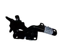 Cerniera Cofano Nuovo Originale 654006513R Renault