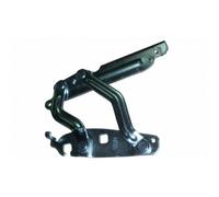 Equal Quality C00224 Cerniera Cofano Anteriore Destro